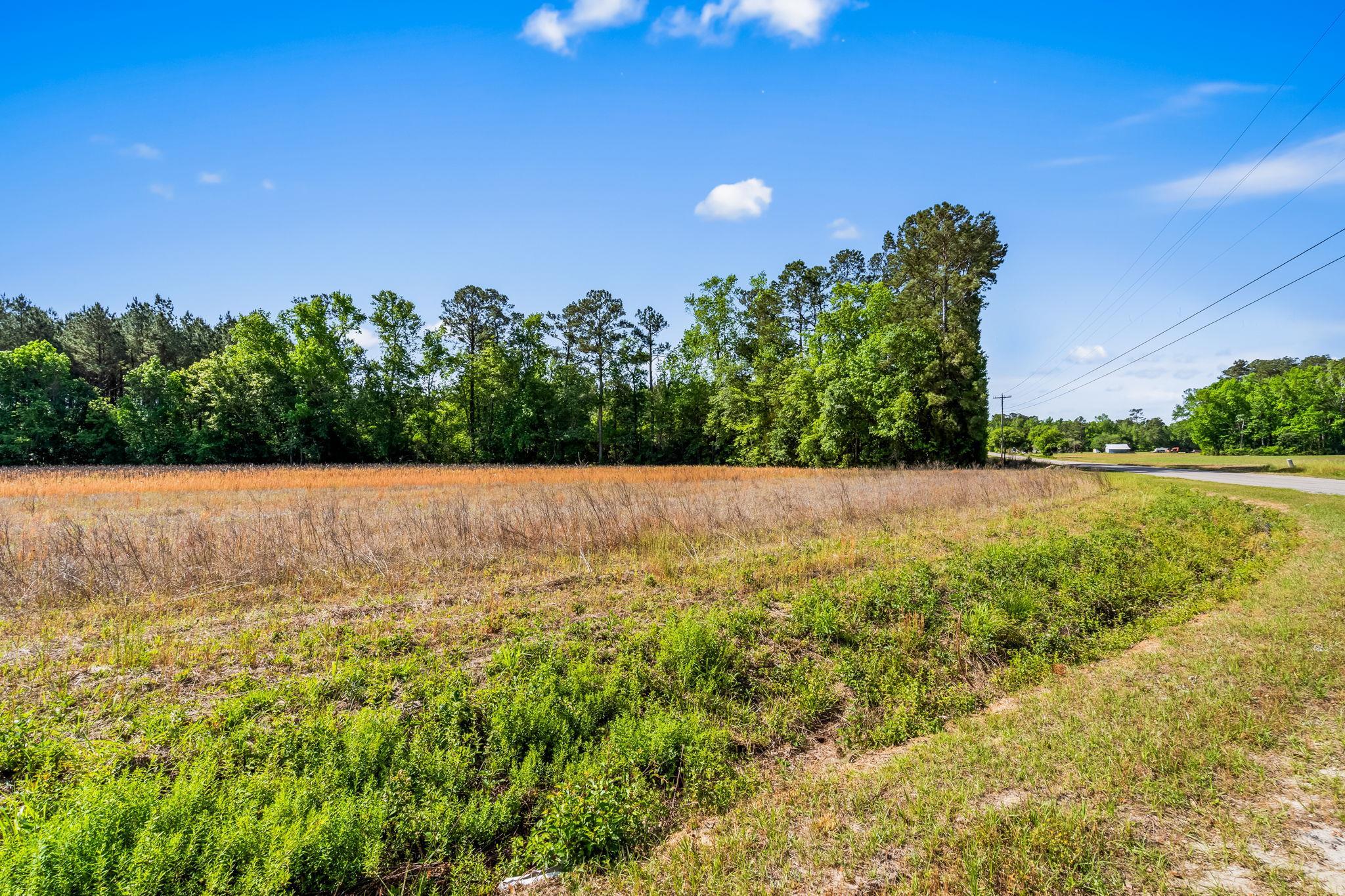 Tbd Ray Road Hemingway, SC 29554 - Photo 18 of 24
