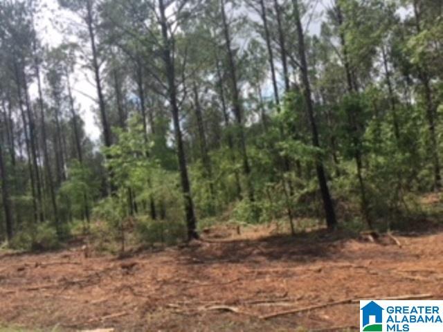 325 Springhill Road, Unit 1 Talladega, AL 35160 - Photo 12 of 31