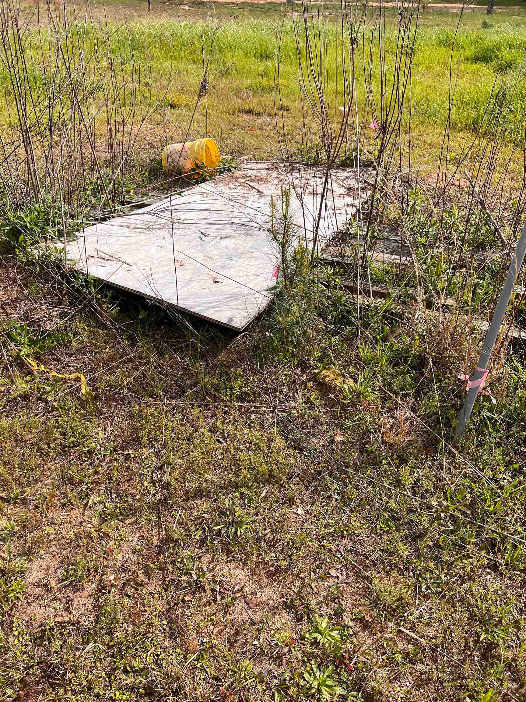 37791 Straughn School Road Dozier, AL 36028 - Photo 9 of 18 Gallery Image 9