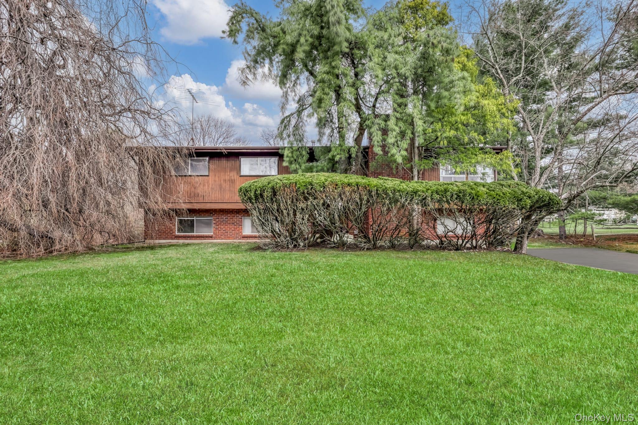 a view of a yard with an tree and wooden fence