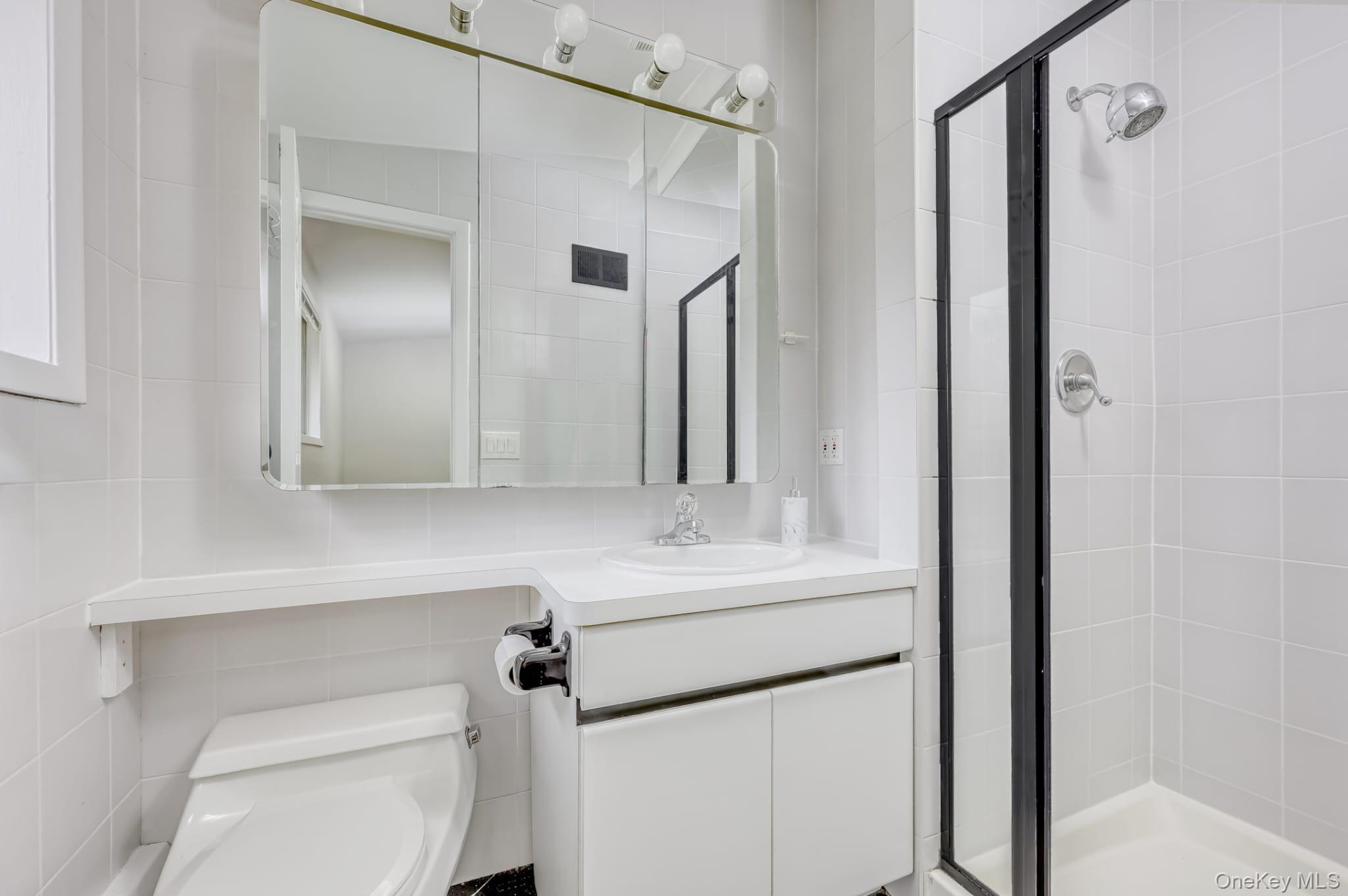 12 Woodwind Lane Spring Valley, NY 10977 - Photo 14 of 27 a bathroom with a sink a toilet a mirror and shower