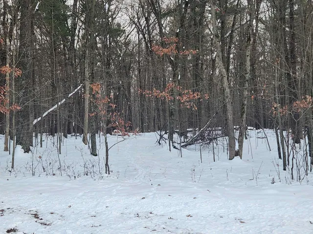 $59,900 | L59 Badger, Arkdale, WI 54613