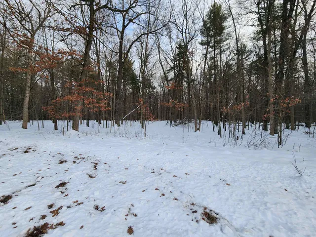 $59,900 | L59 Badger, Arkdale, WI 54613