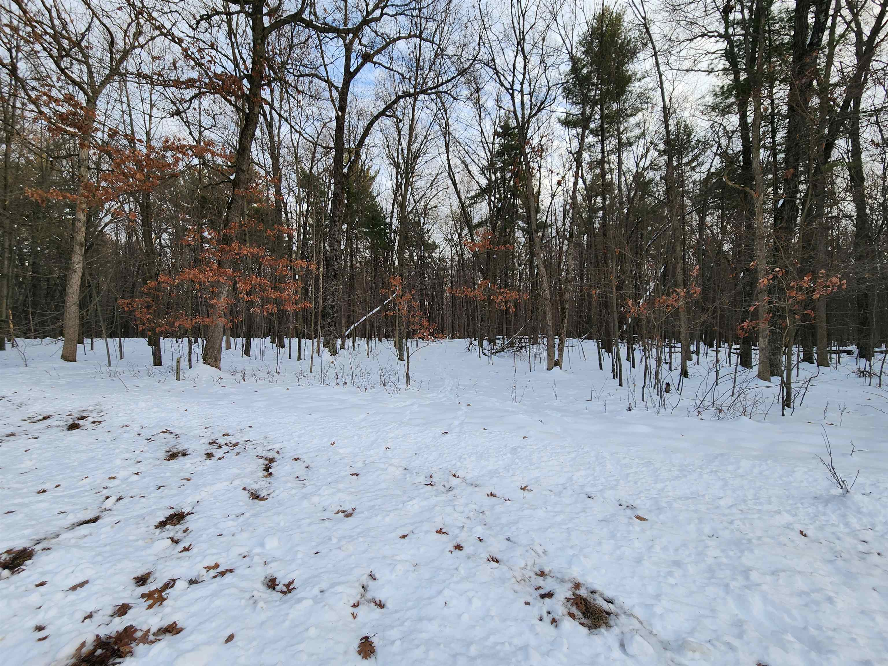 L59 Badger Arkdale, WI 54613 - Photo 8 of 21