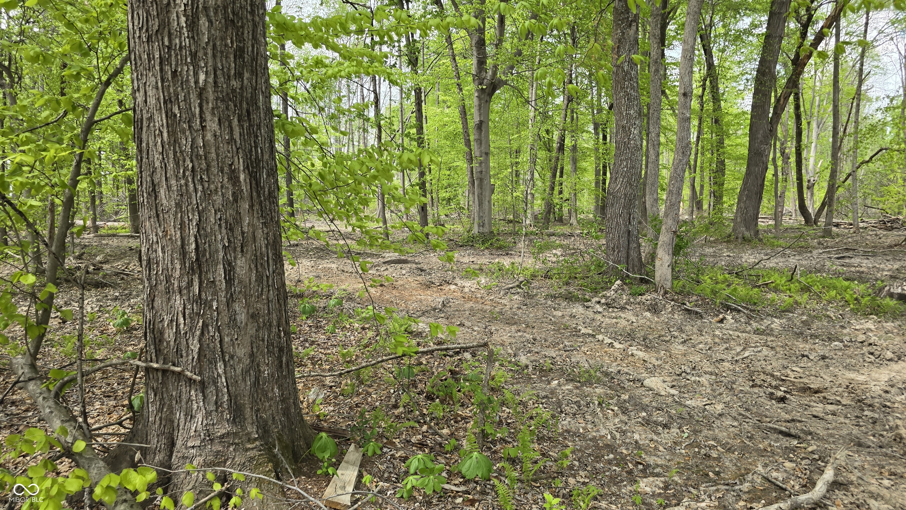 0 South Taylor Road Hanover, IN 47243 - Photo 2 of 36