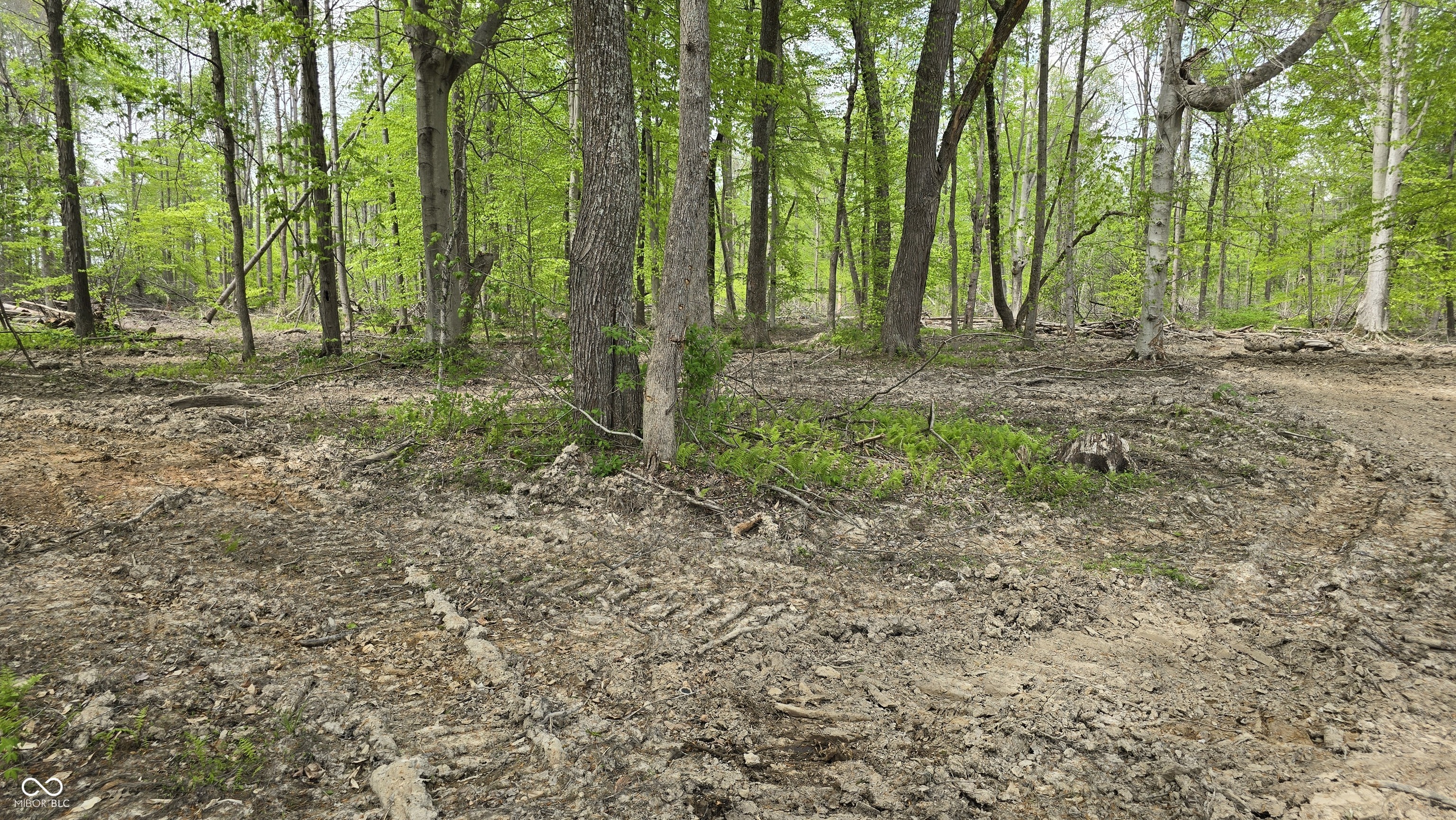 0 South Taylor Road Hanover, IN 47243 - Photo 7 of 36