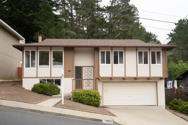 a front view of a house with garage and plants