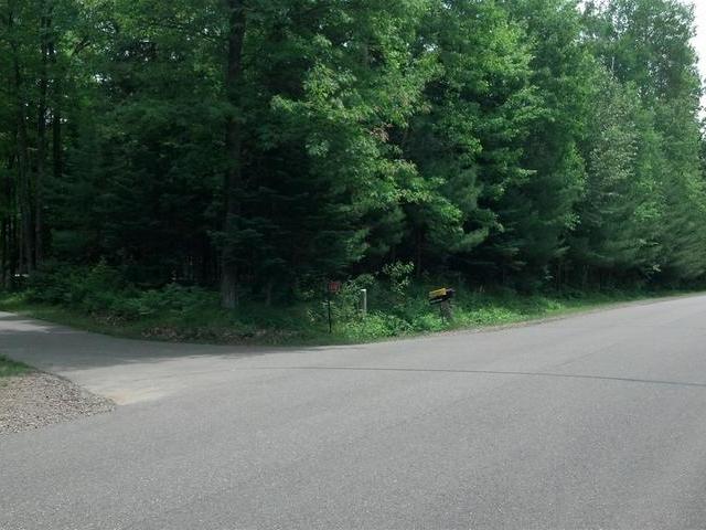 3870 Horsehead Lake Road Rhinelander, WI 54501 - Photo 2 of 20 Gallery Image 2