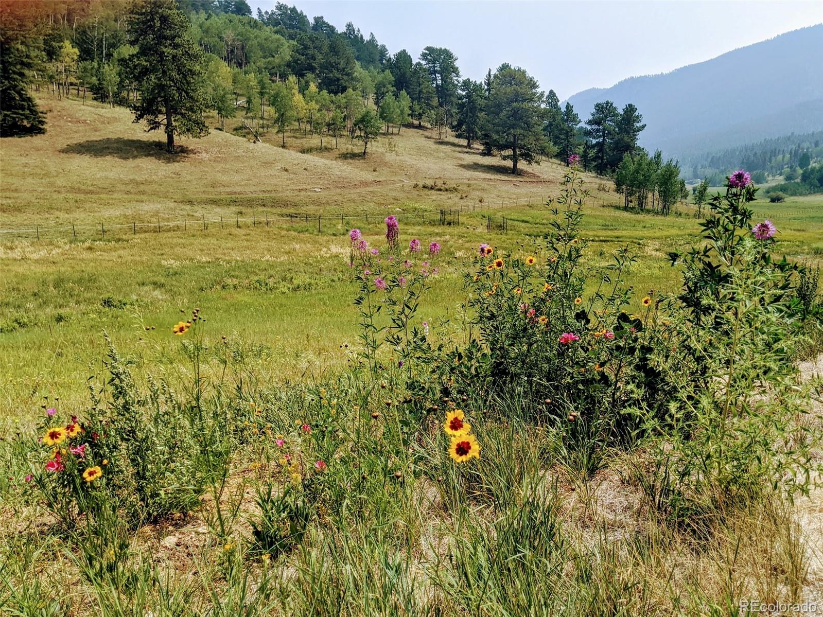 6776 Wood Rock Road Golden, CO 80403 - Photo 40 of 40 Gallery Image 40