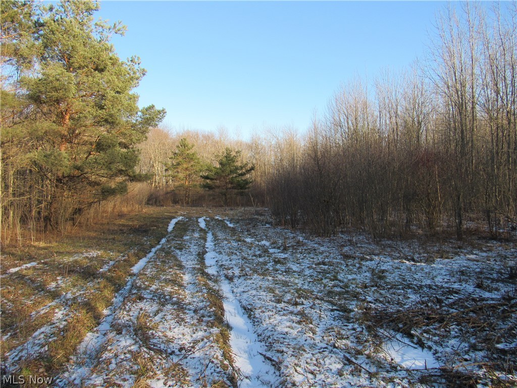 17150 Moseley Road Thompson, OH 44086 - Photo 4 of 7