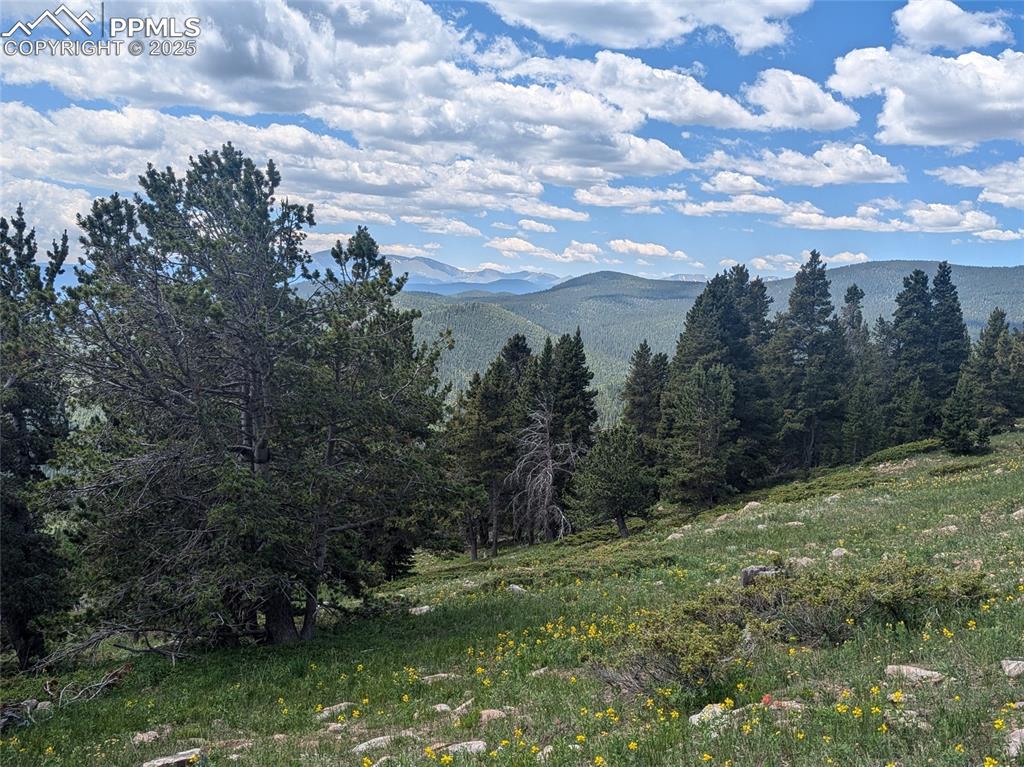 Upper Apex Road Idaho Springs, CO 80452 - Photo 1 of 25 a view of a city with lots of trees