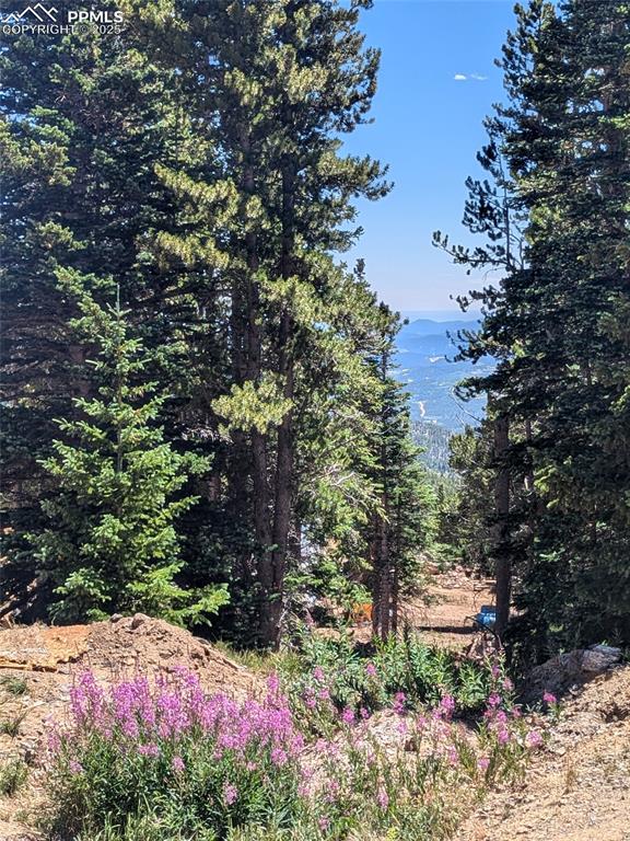 Upper Apex Road Idaho Springs, CO 80452 - Photo 14 of 25 a view of a tree with a yard