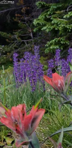 a view of a garden with a building