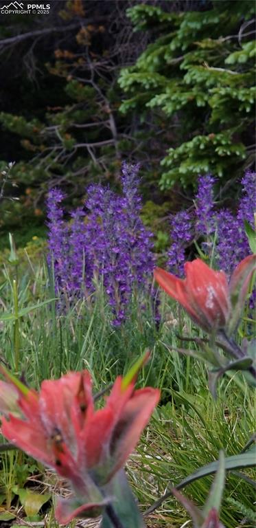 Upper Apex Road Idaho Springs, CO 80452 - Photo 21 of 25 a view of an outdoor space