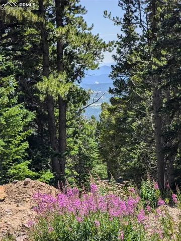 $847,600 | Upper Apex Road, Idaho Springs, CO 80452