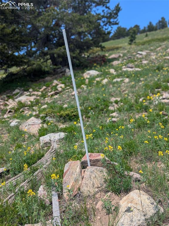 Upper Apex Road Idaho Springs, CO 80452 - Photo 6 of 25 a view of a backyard