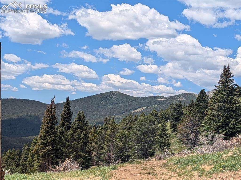 Upper Apex Road Idaho Springs, CO 80452 - Photo 8 of 25 a view of a bunch of trees