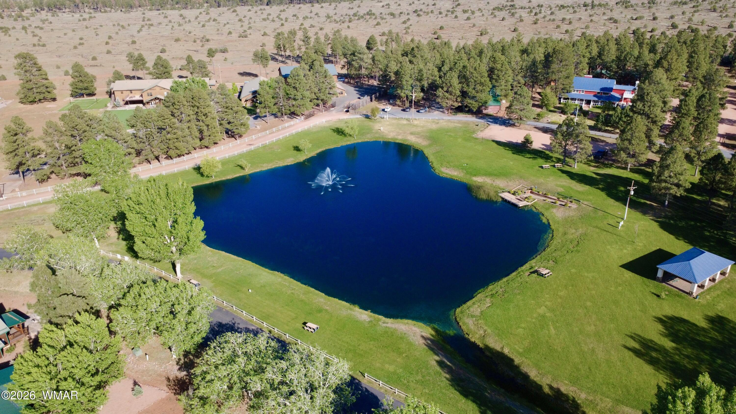 2334 Buffalo Loop Overgaard, AZ 85933 - Photo 23 of 25 a view of a swimming pool with a yard and lake view