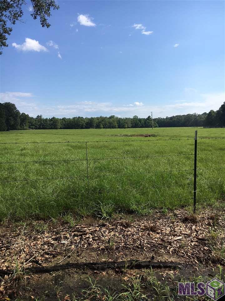 Tract A-3 Butch Gore Road St. Amant, LA 70774 - Photo 1 of 1 Gallery Image 1