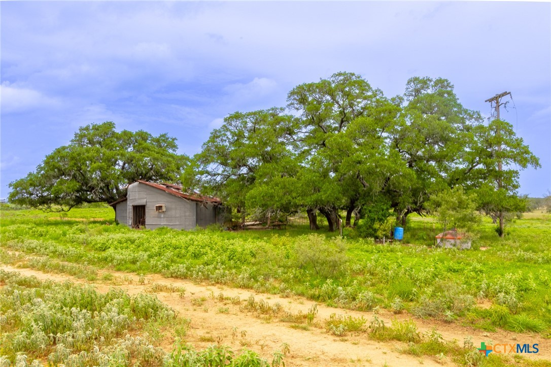 430 Watts Road Kingsbury, TX 78638 - Photo 3 of 29