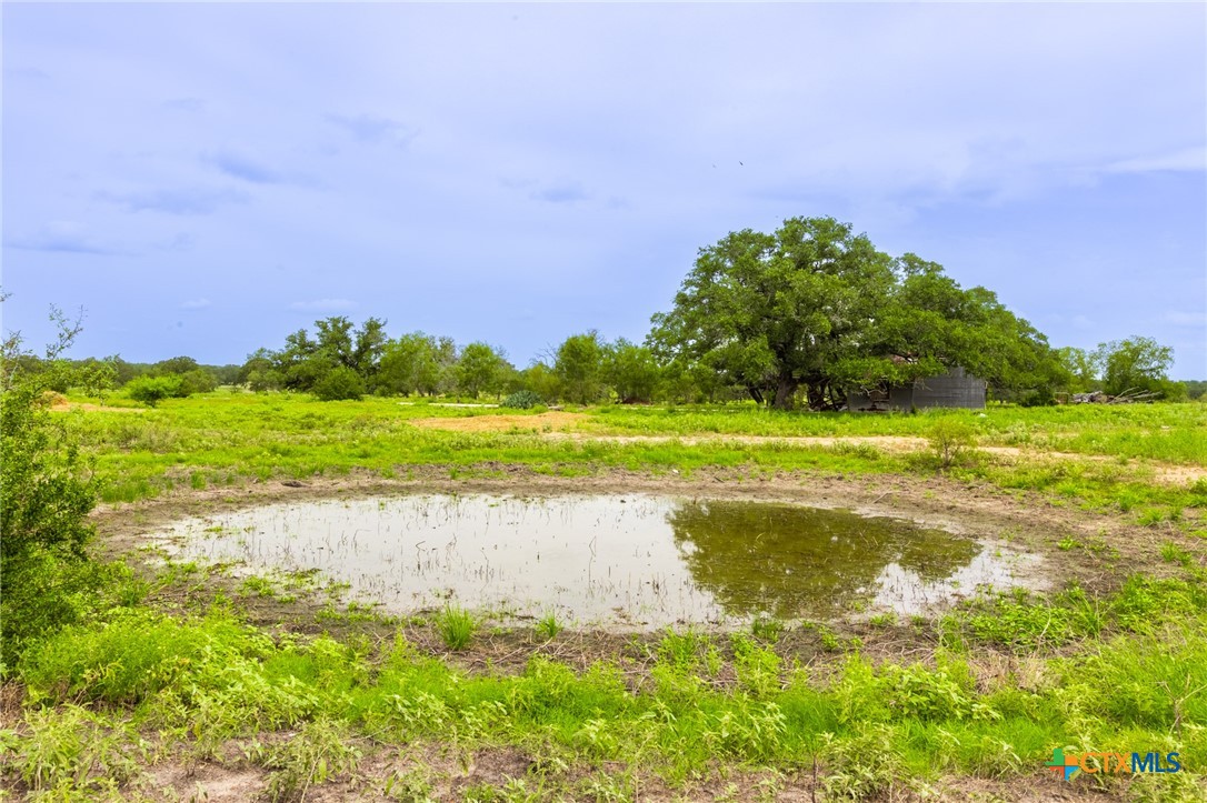 430 Watts Road Kingsbury, TX 78638 - Photo 4 of 29