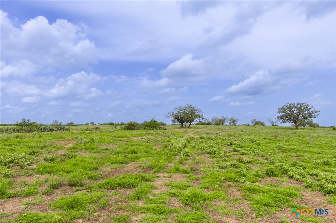 430 Watts Road Kingsbury, TX 78638 - Photo 5 of 29