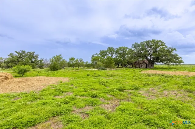 a view of a big yard with a house in the background