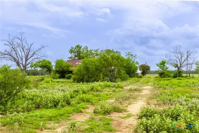 a backyard of a house with lots of green space and garden
