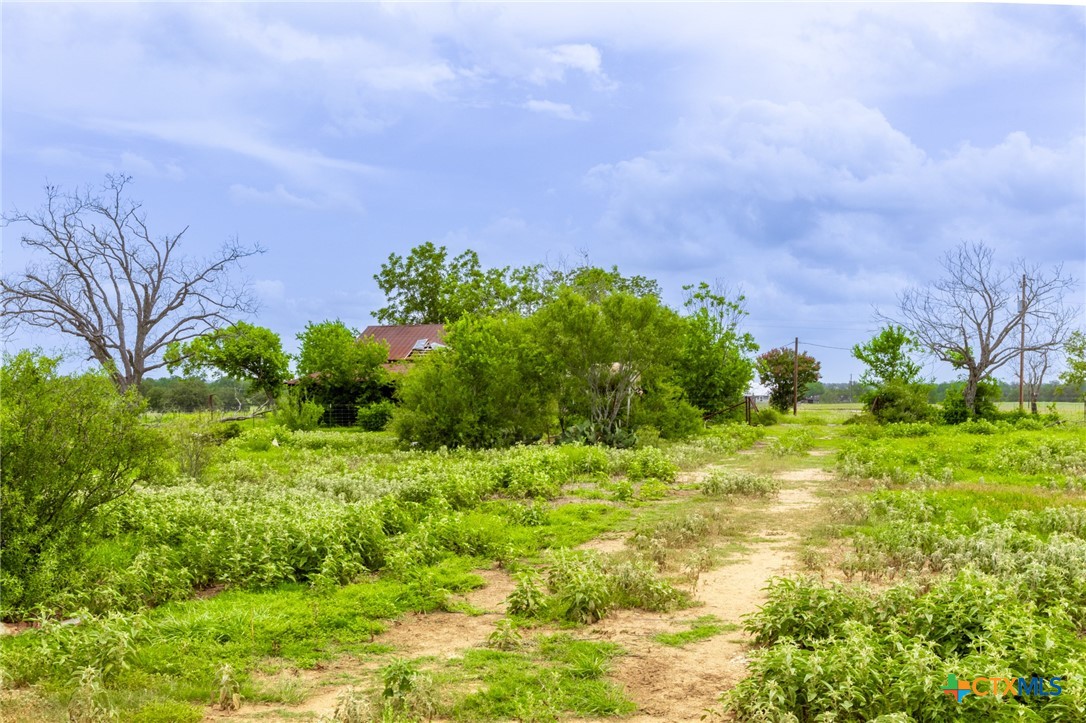 430 Watts Road Kingsbury, TX 78638 - Photo 7 of 29