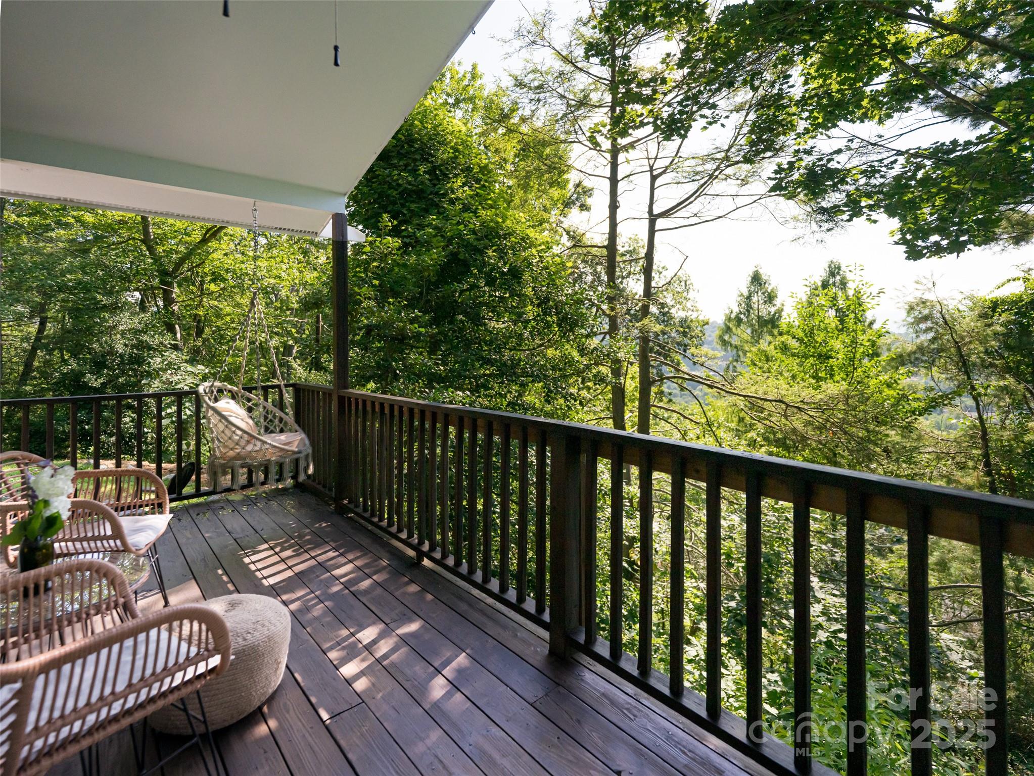 3 North Delano Road Asheville, NC 28805 - Photo 16 of 45