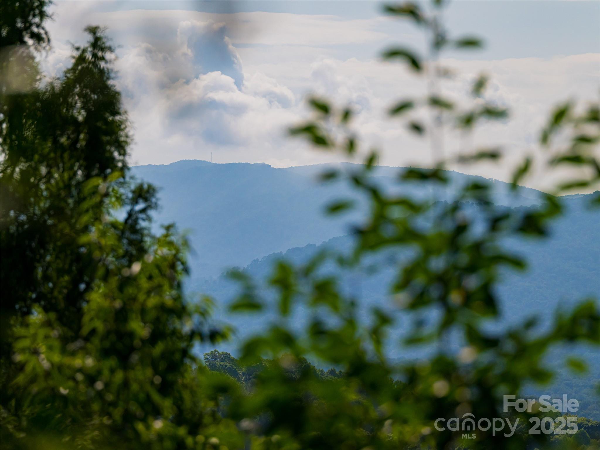 3 North Delano Road Asheville, NC 28805 - Photo 43 of 45