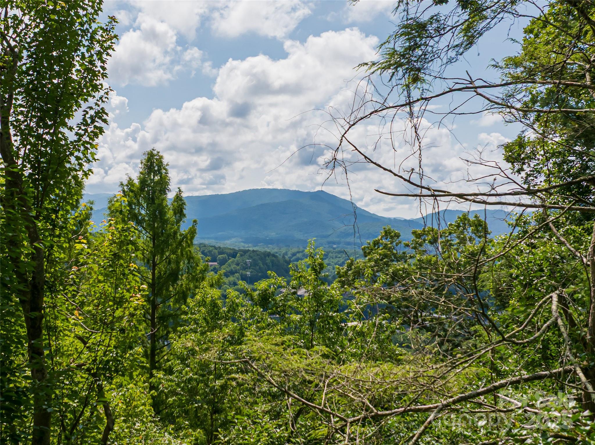 3 North Delano Road Asheville, NC 28805 - Photo 5 of 45
