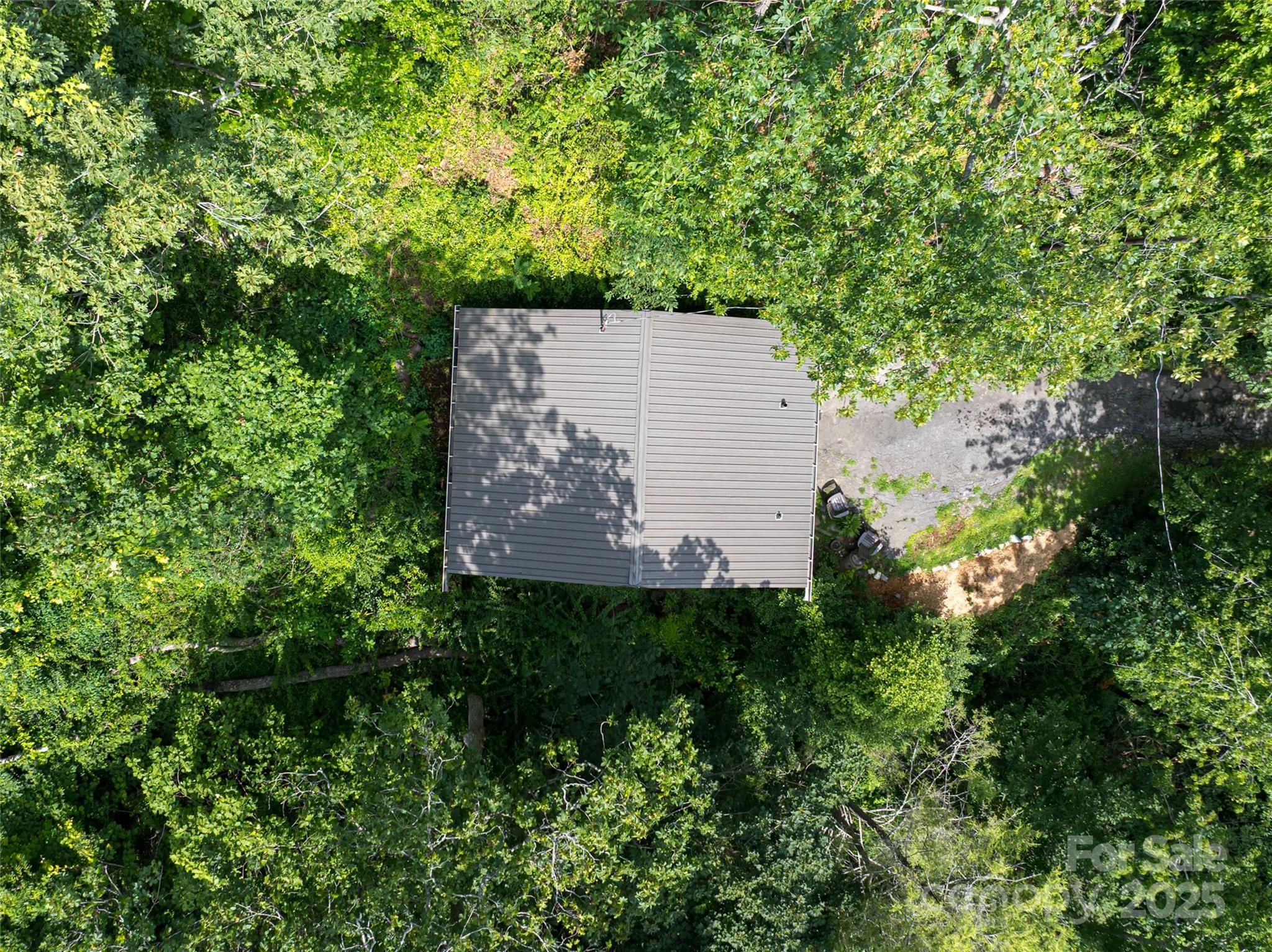 3 North Delano Road Asheville, NC 28805 - Photo 8 of 45