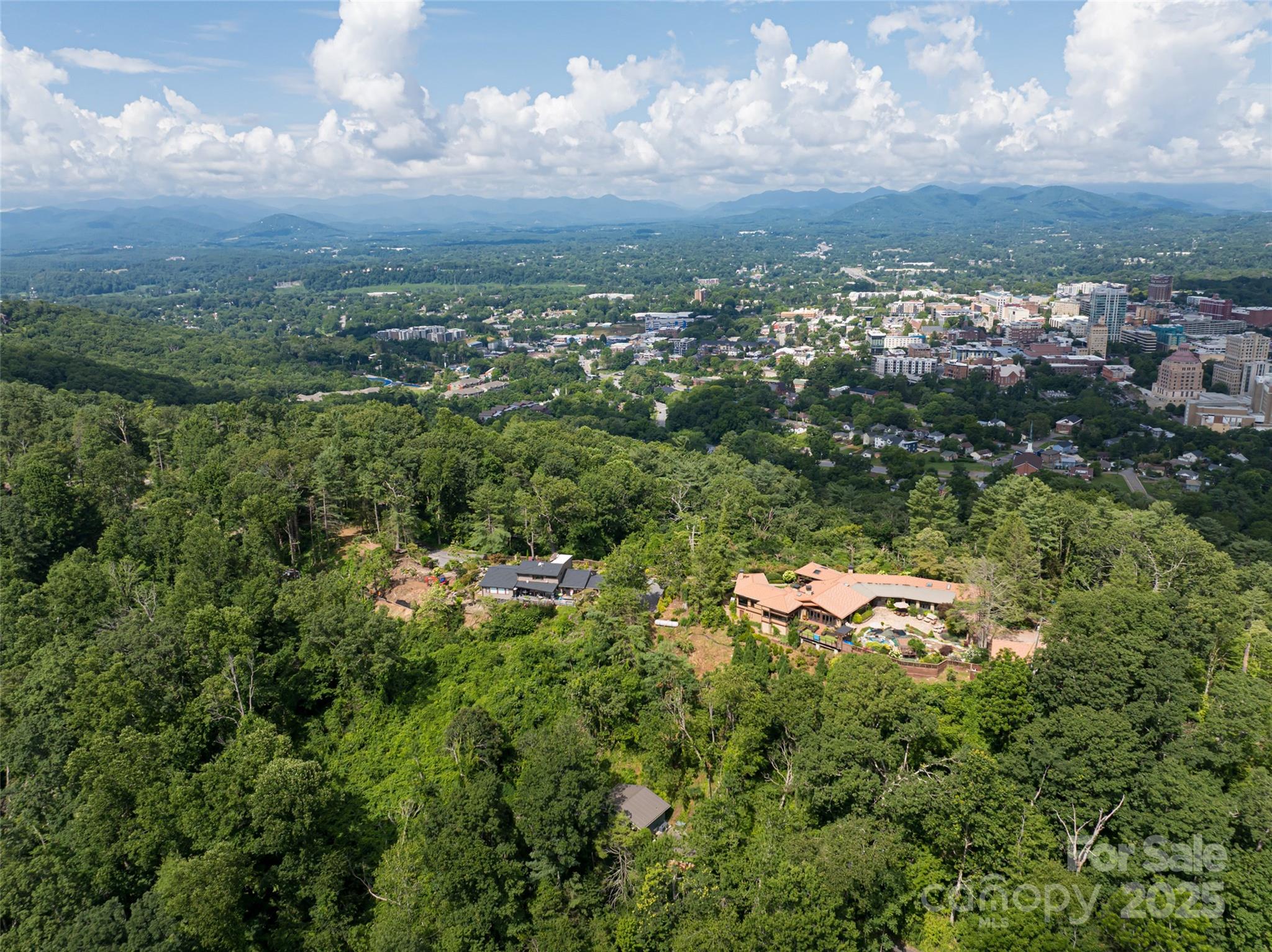 3 North Delano Road Asheville, NC 28805 - Photo 10 of 45