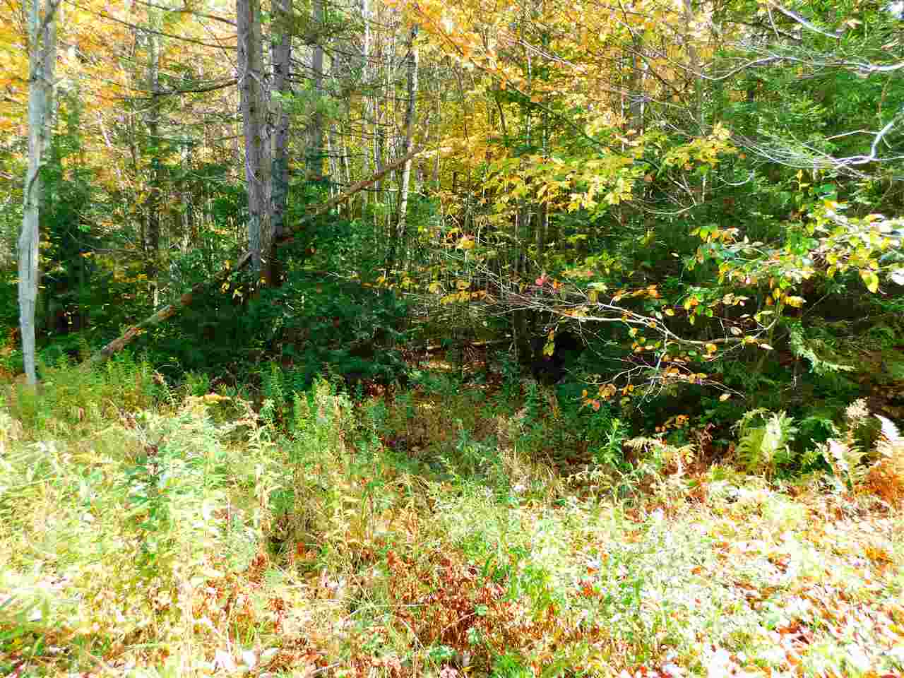 99 Dorr Fitch Road West Dover, VT 05356 - Photo 1 of 2 Gallery Image 1