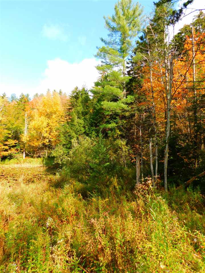 99 Dorr Fitch Road West Dover, VT 05356 - Photo 2 of 2 Gallery Image 2