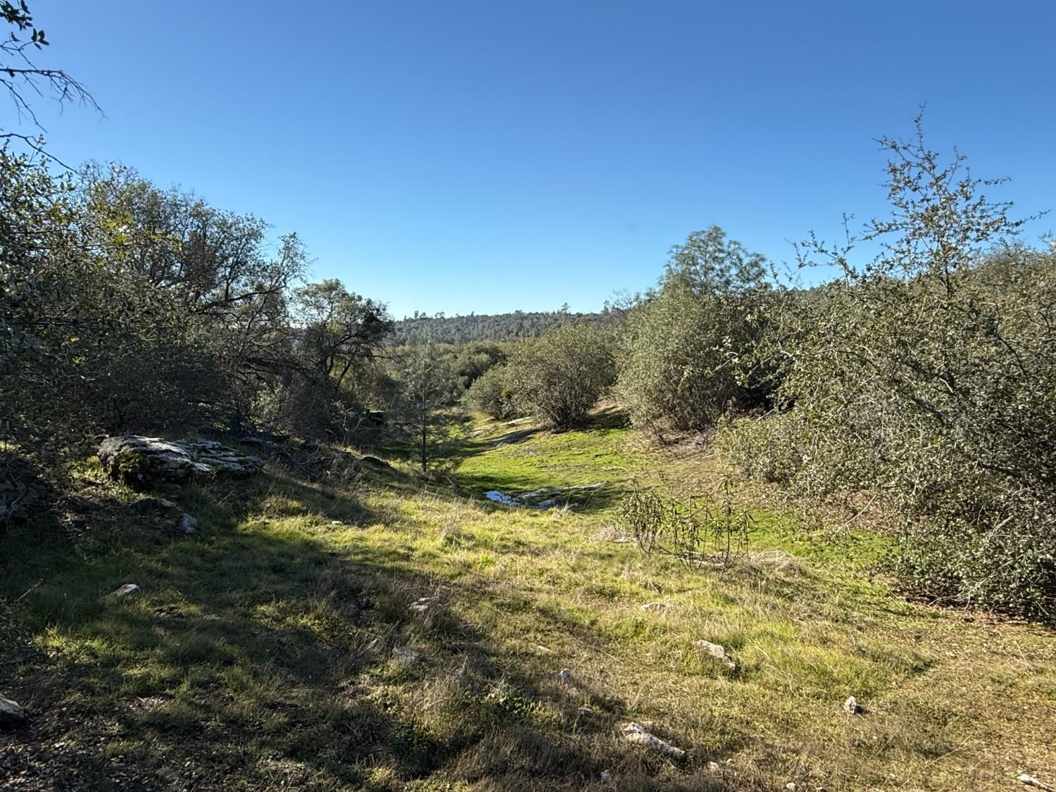 0 Flying O Ranch Road Coarsegold, CA 93645 - Photo 6 of 24