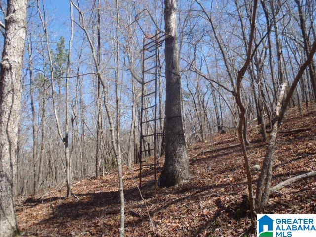 0 Shocco Springs Road, Unit 40 5 AC Talladega, AL 35160 - Photo 16 of 30