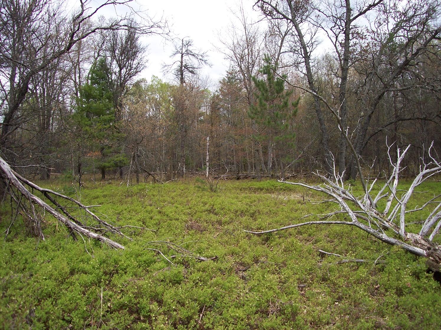 Henning Road Lewiston, MI 49756 - Photo 15 of 15 Gallery Image 15