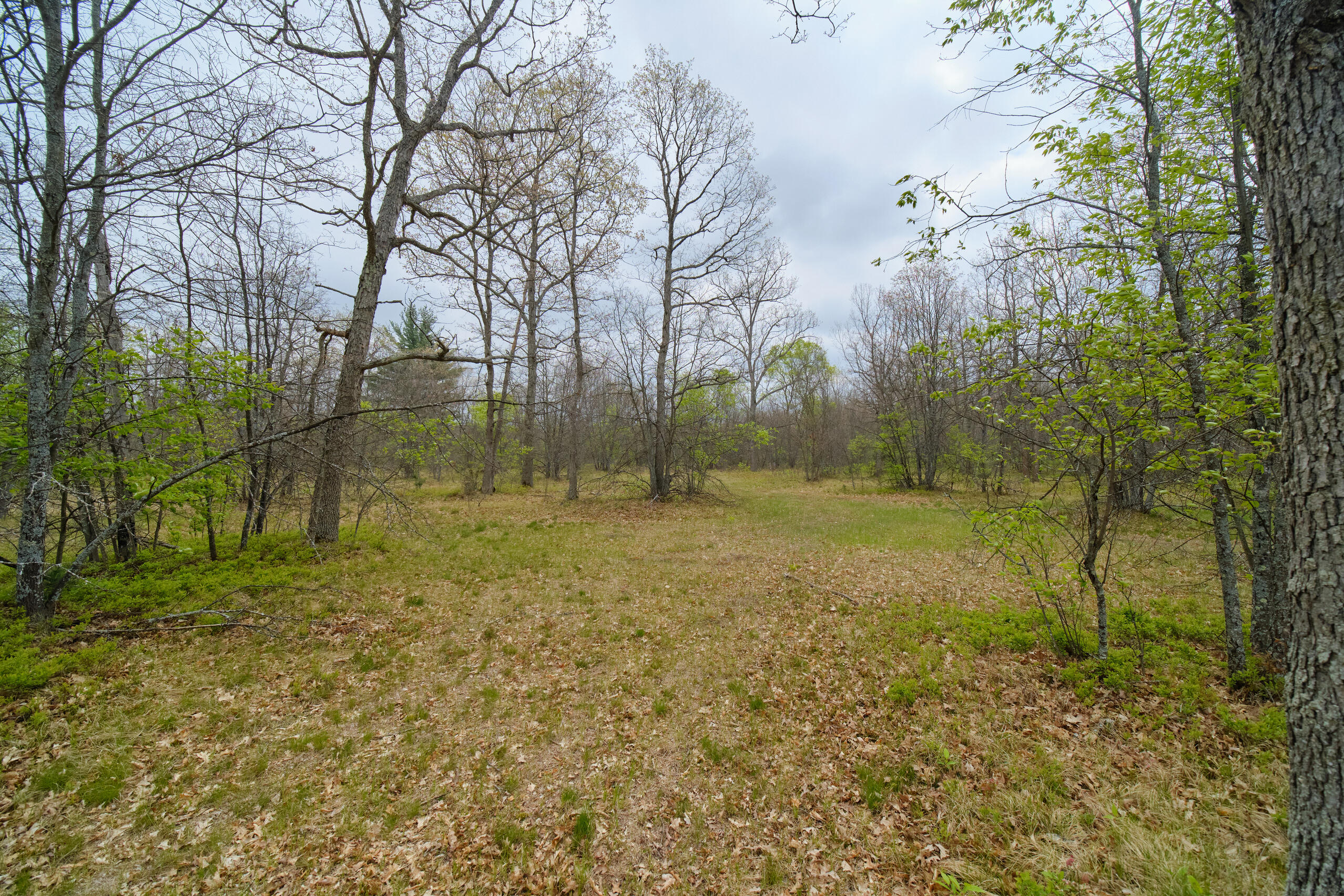 721 North Warfield Road Wellston, MI 49689 - Photo 54 of 57 Beautiful home on 14 ac!