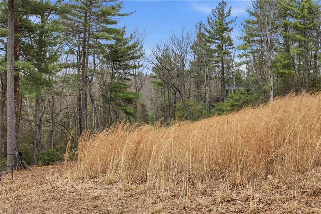 Lot 109-110 Pepper Bush Road Purlear, NC 28665 - Photo 35 of 36 Gallery Image 35