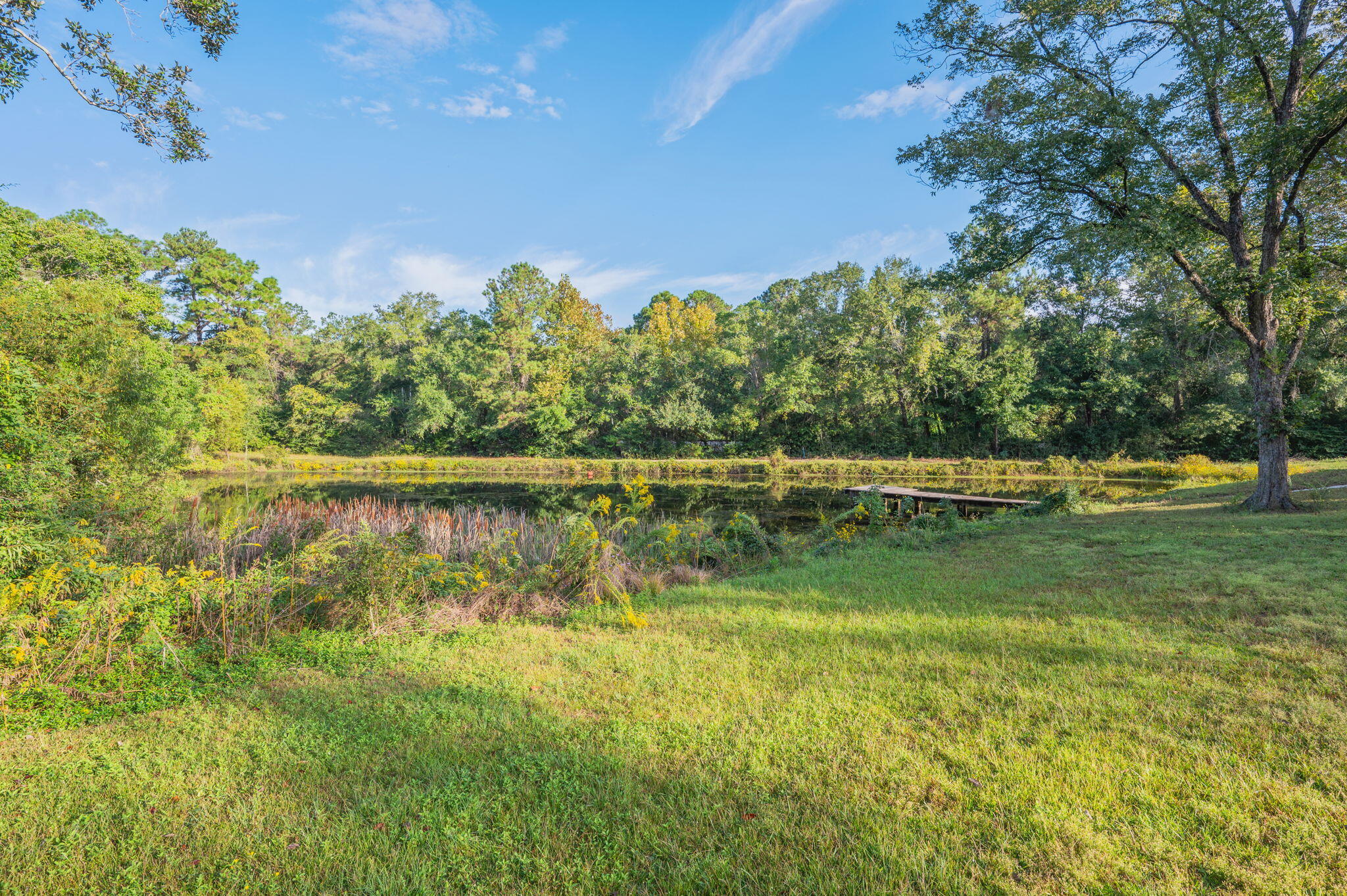 1260 East Chestnut Avenue Crestview, FL 32539 - Photo 11 of 61 a view of lake from a yard