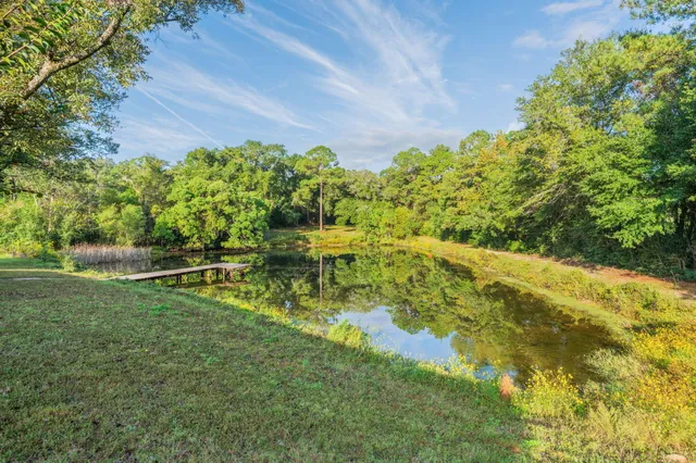 a view of yard with green space