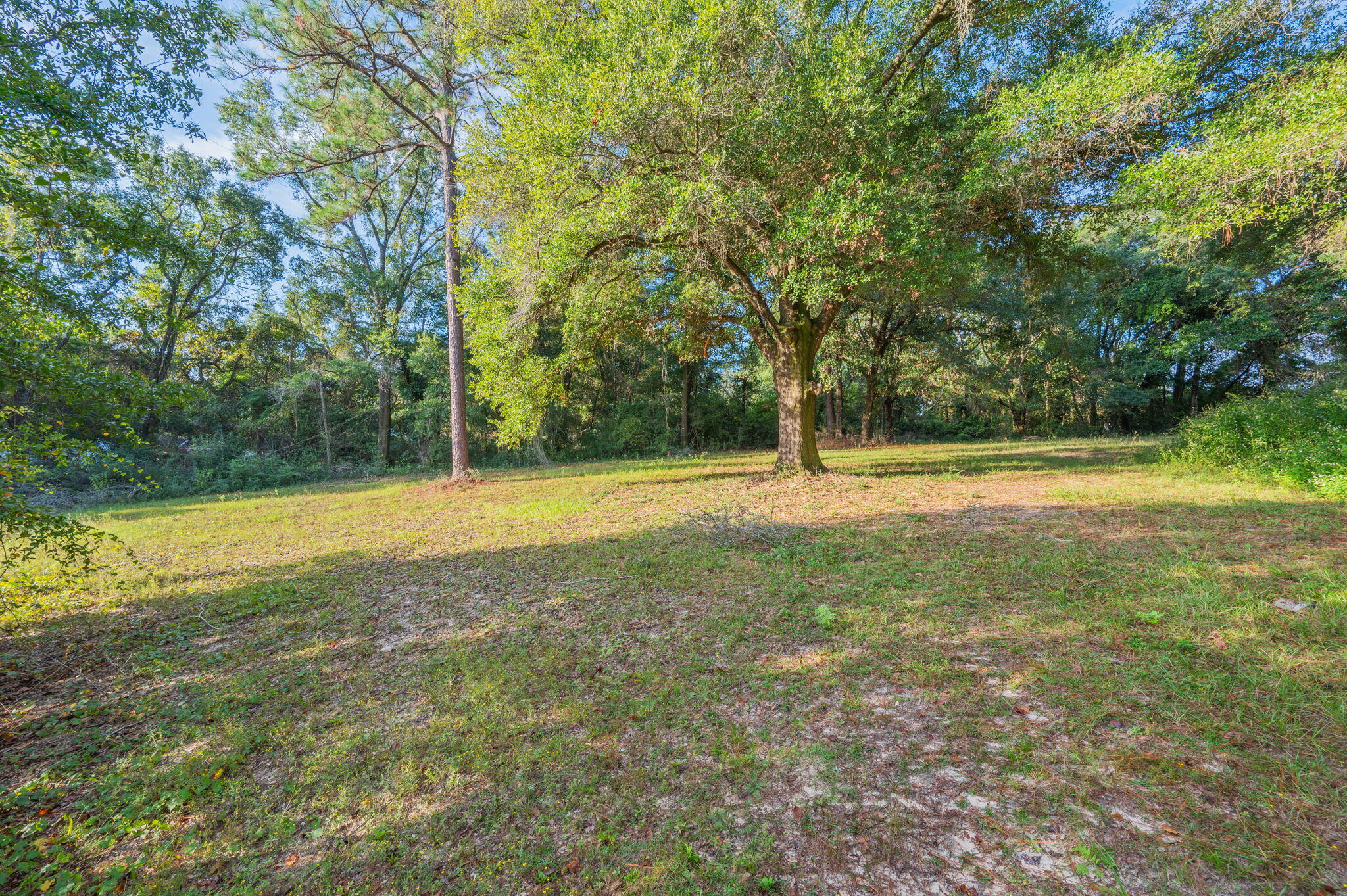 1260 East Chestnut Avenue Crestview, FL 32539 - Photo 55 of 61 a view of outdoor space with trees all around