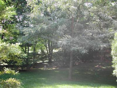 1032 Turnbridge Road Lexington, KY 40515 - Photo 8 of 9 Photo 8