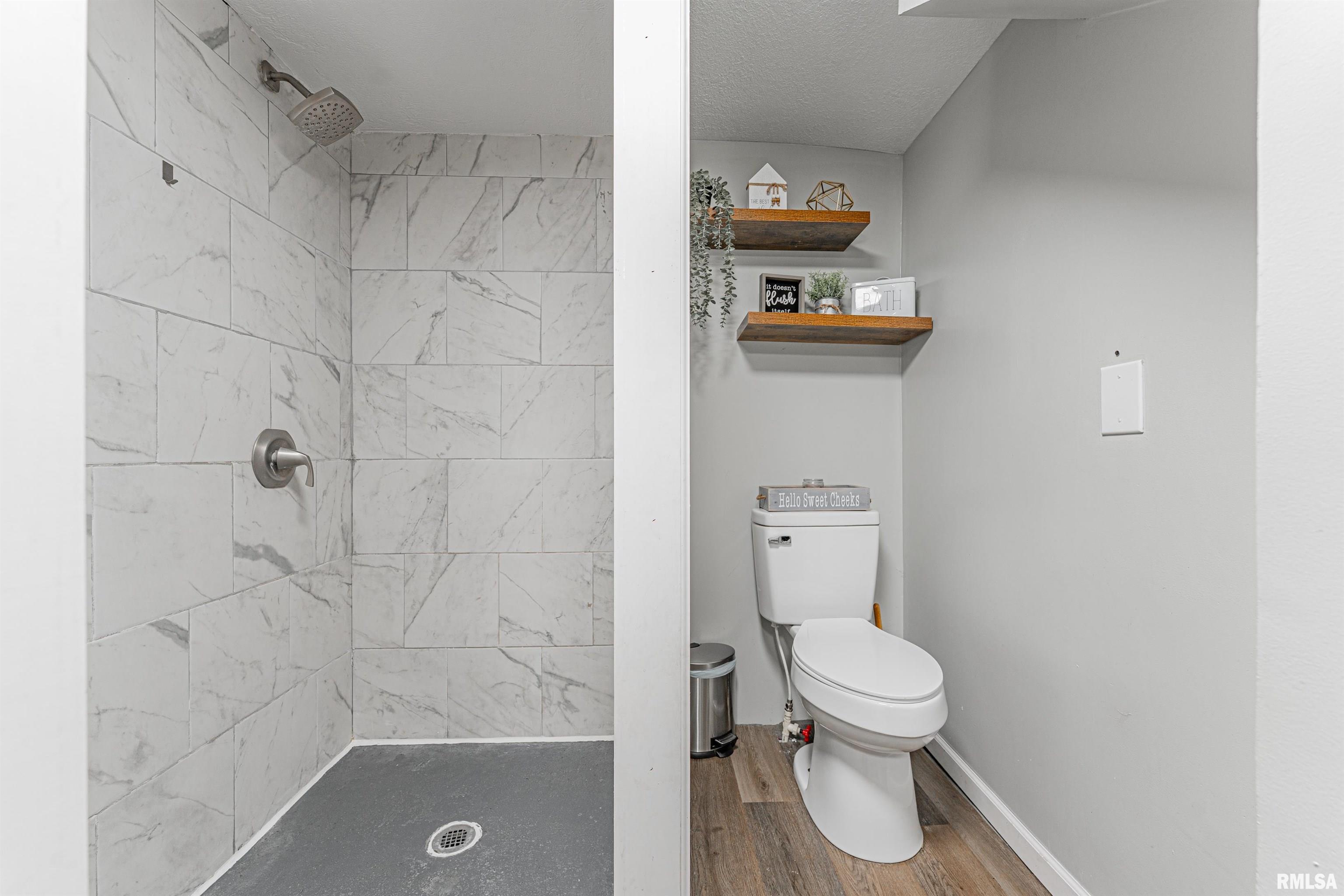 1955 East 2700 North Road Blue Mound, IL 62513 - Photo 36 of 50