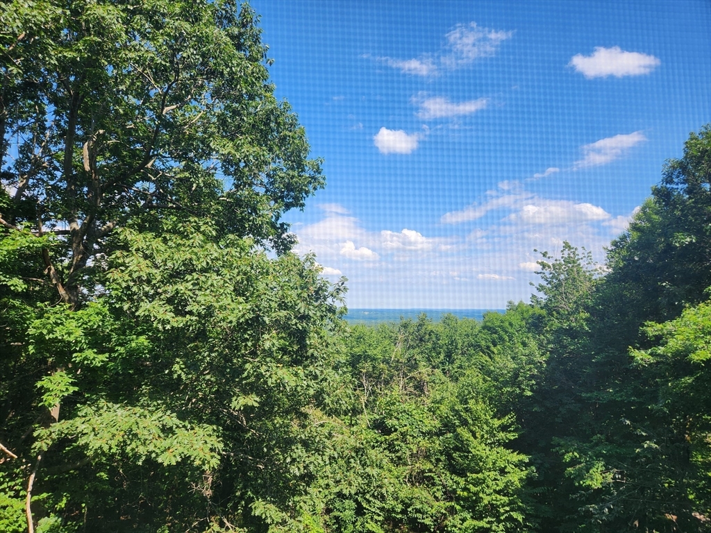 134 Mountain Road Princeton, MA 01541 - Photo 28 of 29