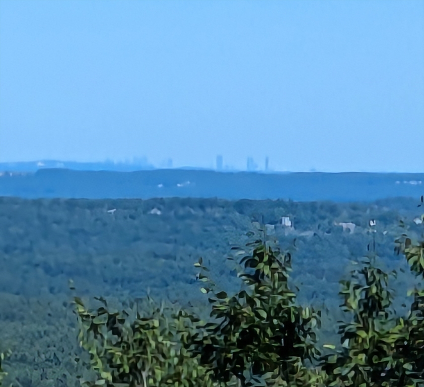 134 Mountain Road Princeton, MA 01541 - Photo 29 of 29 a view of a large yard with lots of green space