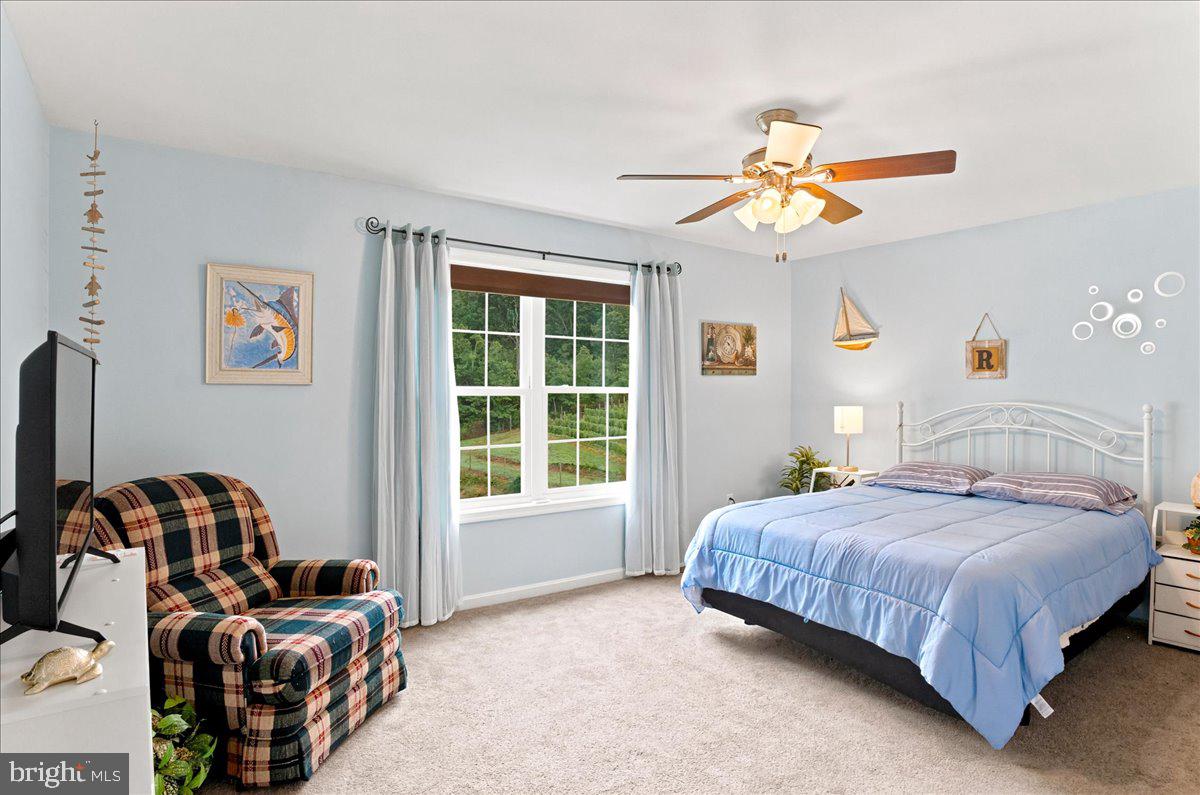 1309 Redland Road Cross Junction, VA 22625 - Photo 29 of 84