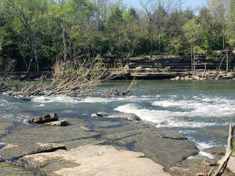 4218 Oswin Drive Murfreesboro, TN 37129 - Photo 36 of 40